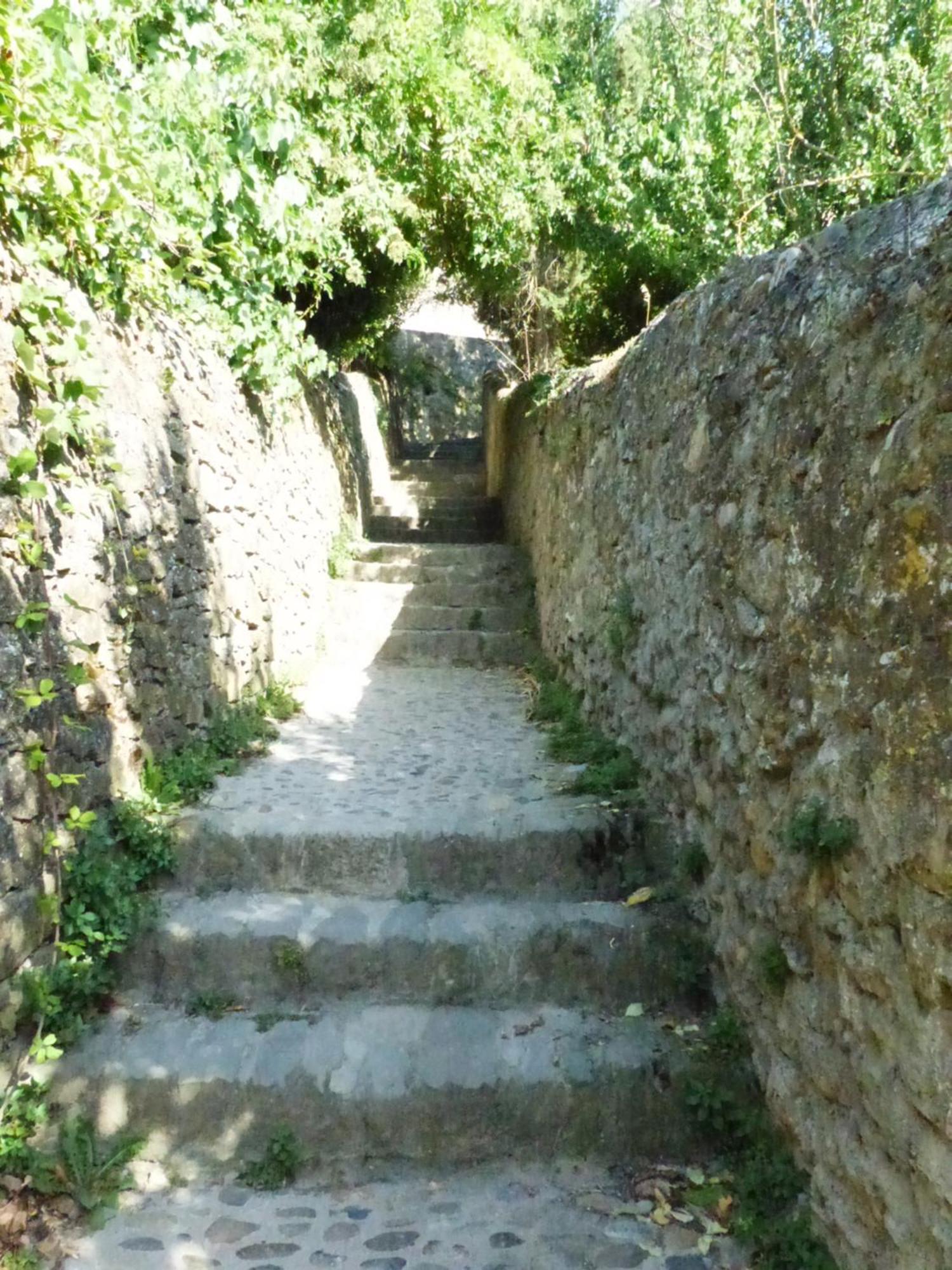 Gîte de La Cité Carcassonne Esterno foto
